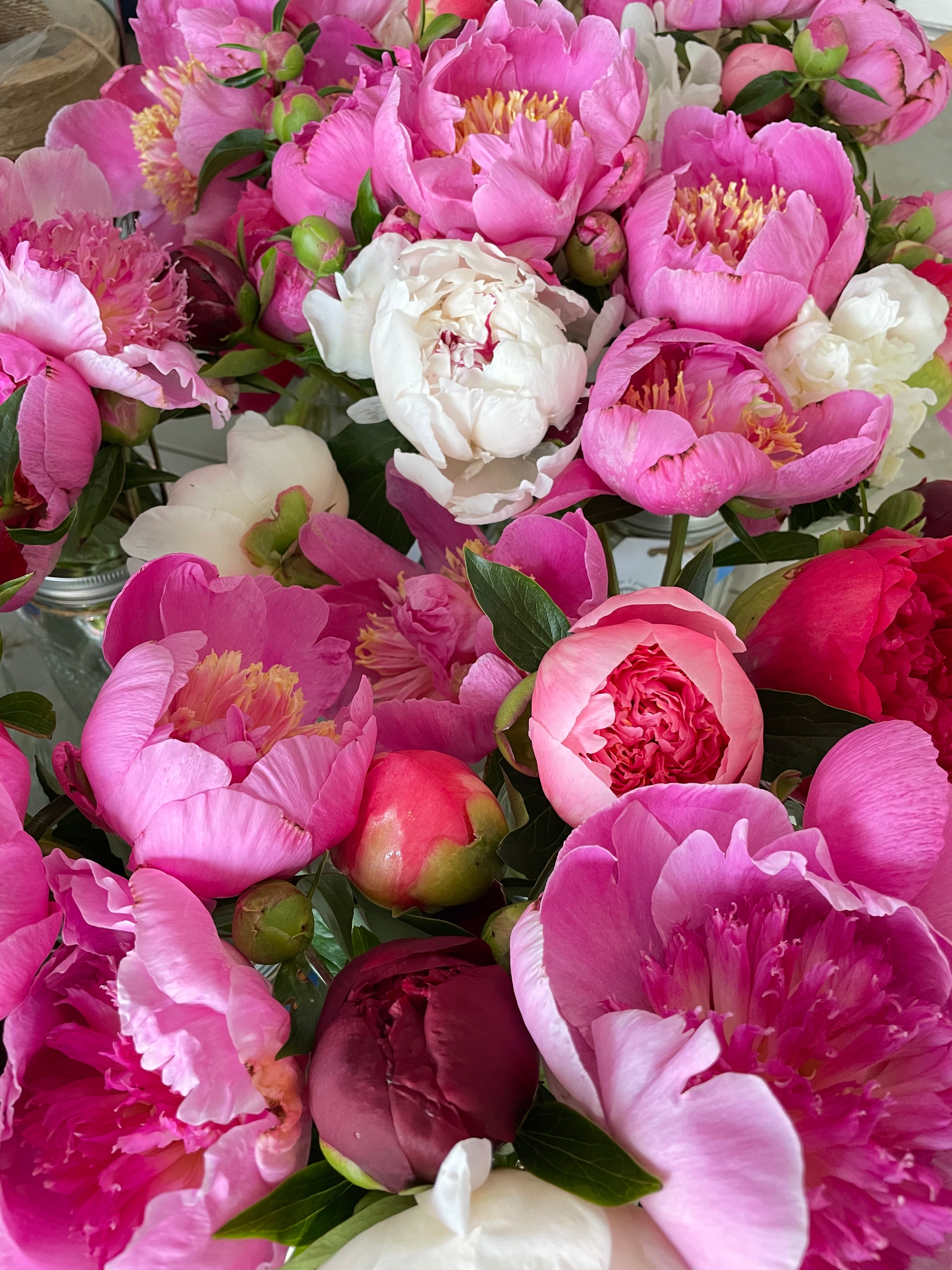 Bucket of Peonies – Wheels 2 Fields Flower Farm