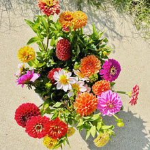 Load image into Gallery viewer, 2024 Dahlia Subscription (5 bouquets)
