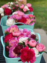 Load image into Gallery viewer, Bucket of Peonies
